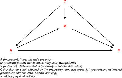 Fatty liver mediates the association of hyperuricemia with prediabetes and diabetes: a weighting-based mediation analysis